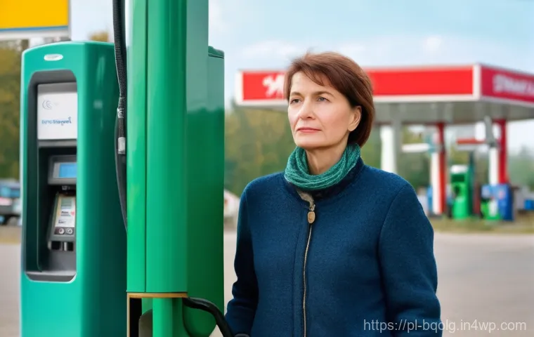 바이오연료 발전의 사회적 수용성 - **Prompt 1: The Everyday Biofuel Dilemma**
    A thoughtful Polish woman, approximately 50 years old...