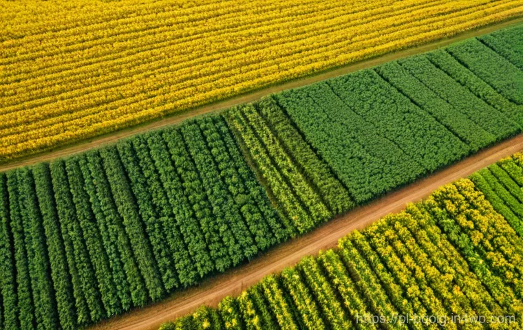 바이오연료 발전의 위험 관리 전략 - Here are three detailed image prompts in English, designed to generate visuals related to the provid...