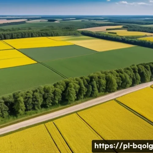 바이오연료 발전의 지속 가능성 평가 - A detailed aerial view of a vast agricultural landscape in Poland transforming natural ecosystems in...