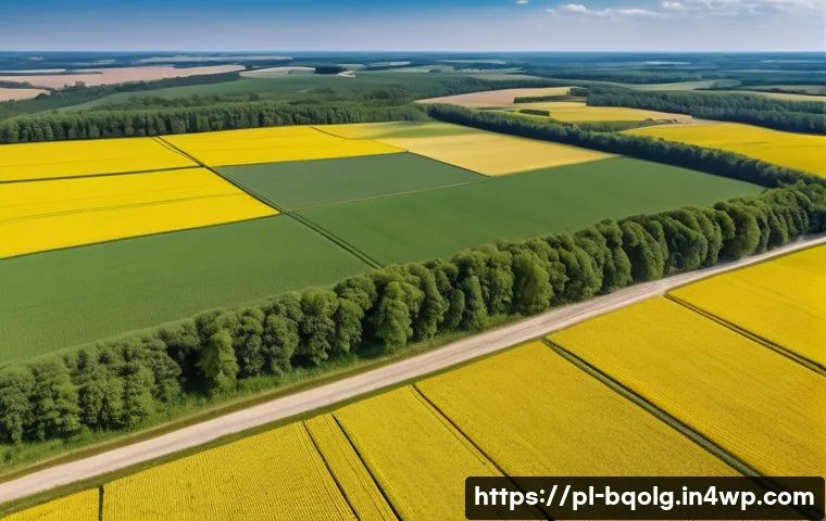 바이오연료 발전의 지속 가능성 평가 - A detailed aerial view of a vast agricultural landscape in Poland transforming natural ecosystems in...